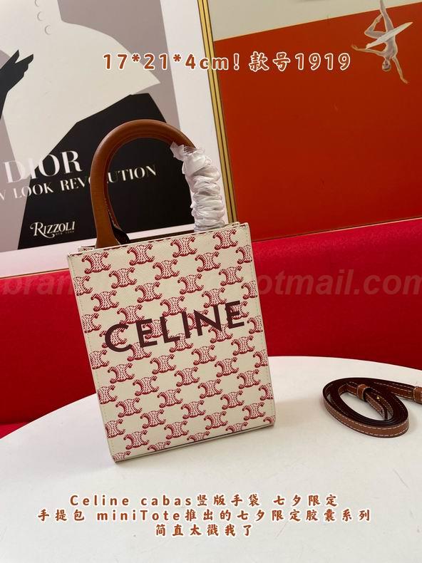 CELINE Handbags 102